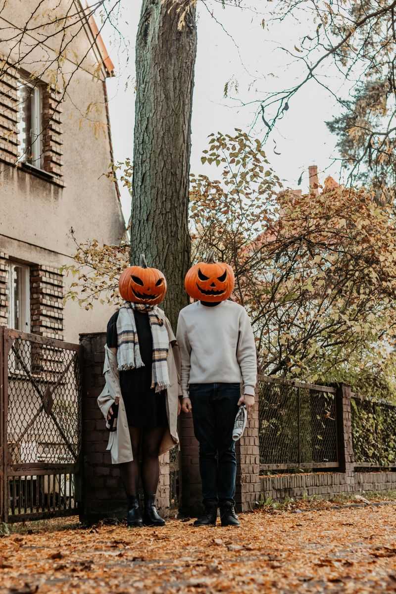 Pumpkin Patch Adventure