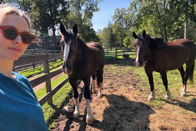 10 Reclusive Celebrities Living Quiet Lives in the Countryside