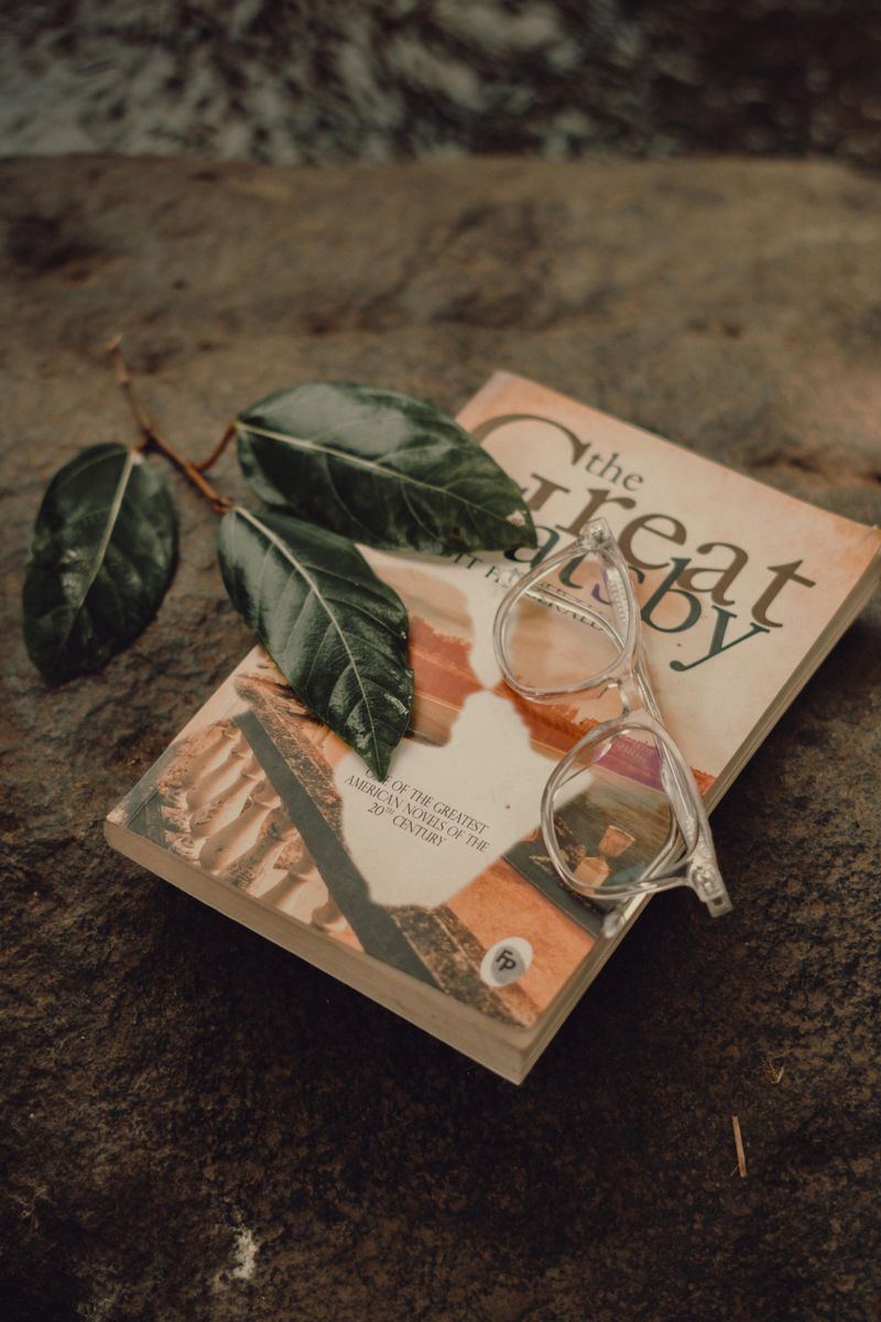 The Great Gatsby by F. Scott Fitzgerald