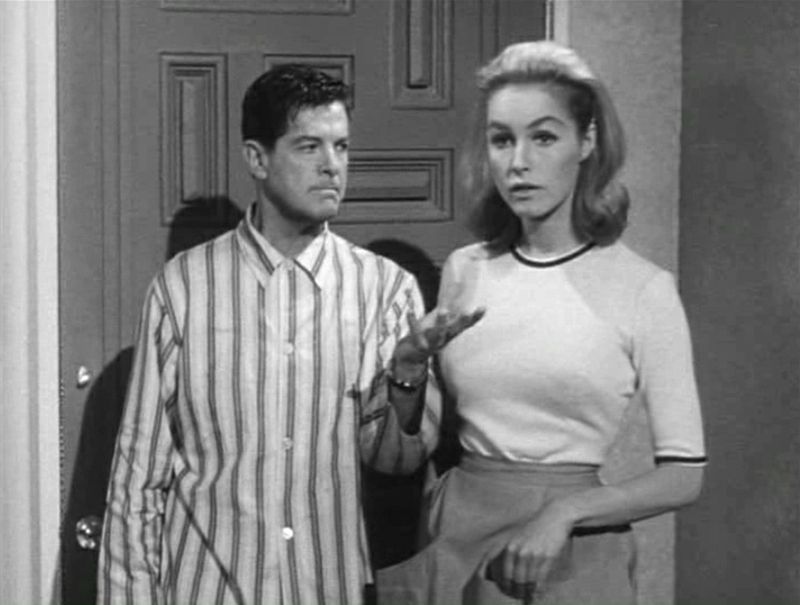 My Living Doll (1964–1965)