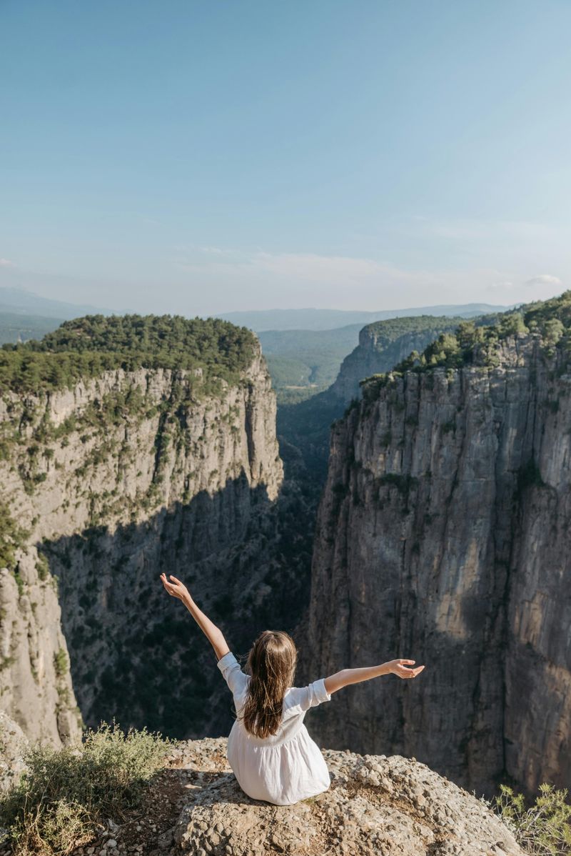 Desire for Personal Freedom and Flexibility