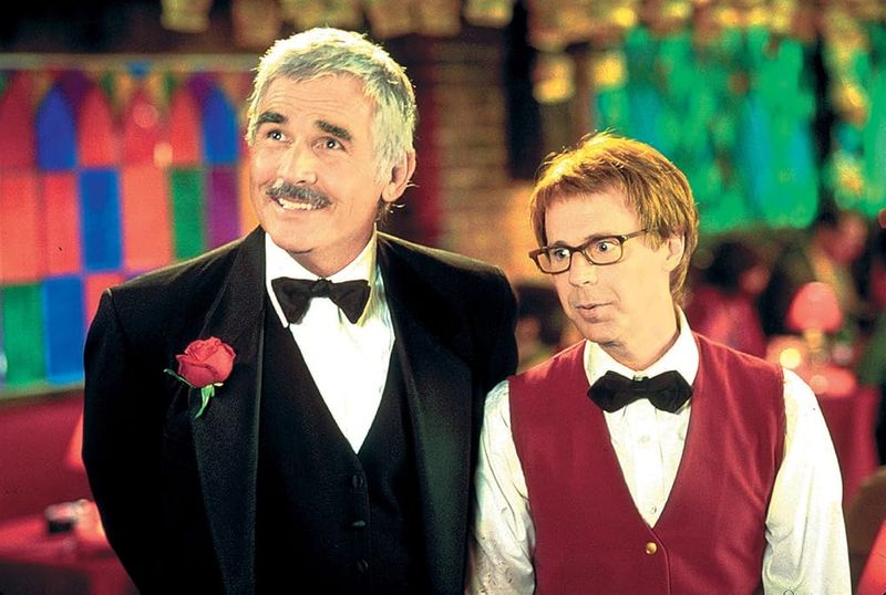 The Master of Disguise (2002)