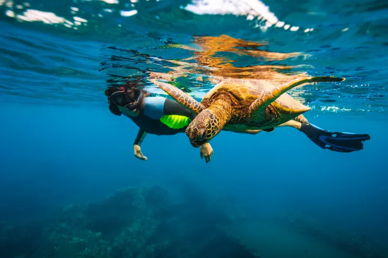 Galápagos Islands Cruise – Ecuador