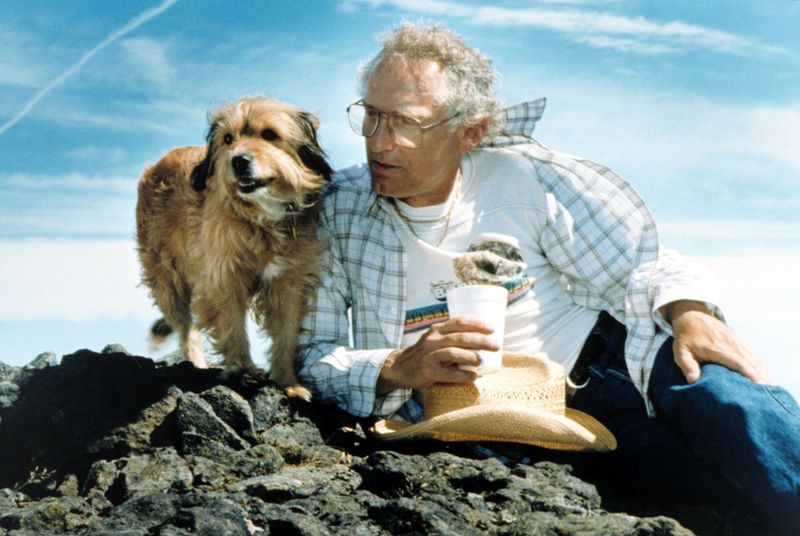  13 Classic TV Shows Boomers Still Watch on Repeat