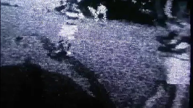 Heartbeats – The Knife