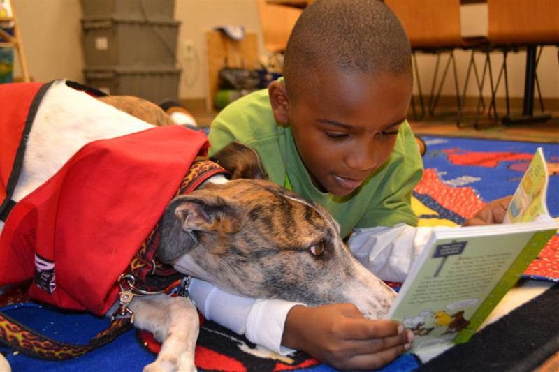 Academic Performance Often Improves With Pet Companionship