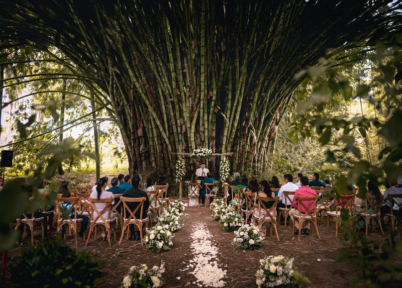 Sustainable Celebrations Take Center Stage