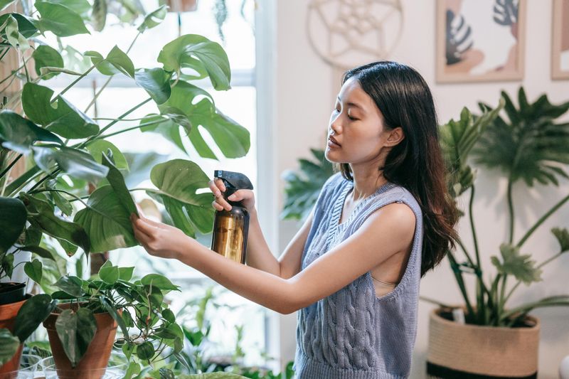 You've Started Talking to Your Plants or Pets More Than People