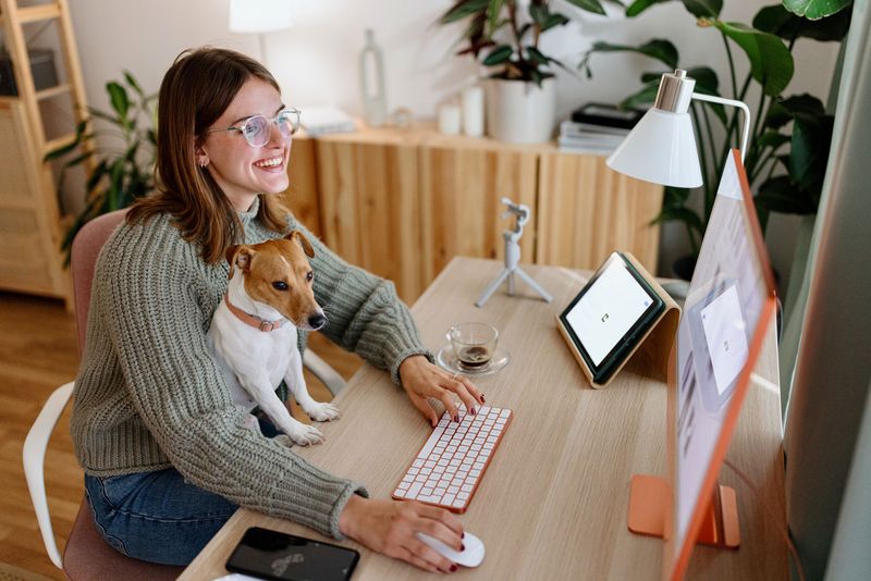 Use Your Time to Freelance or Volunteer