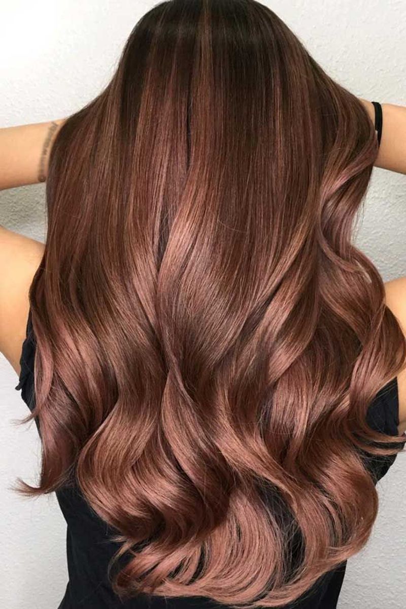 Warm Chestnut