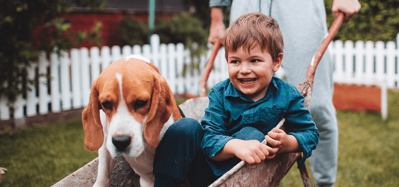 Social Skills Develop Through Pet Interactions