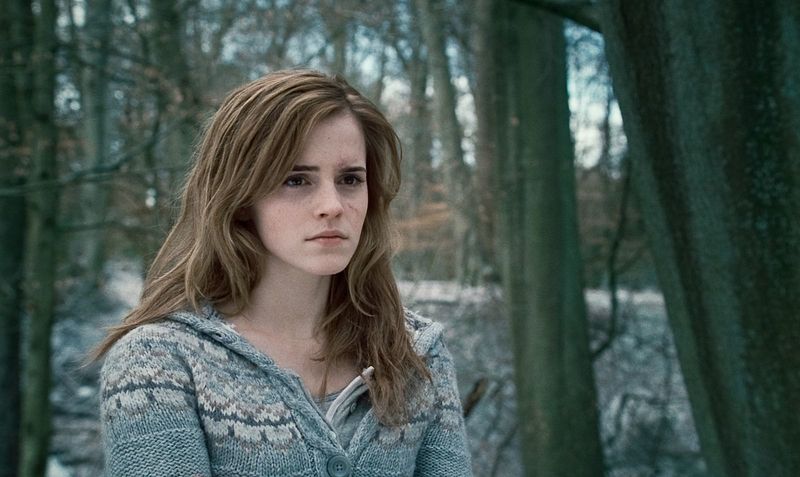 Hermione Granger (Harry Potter)