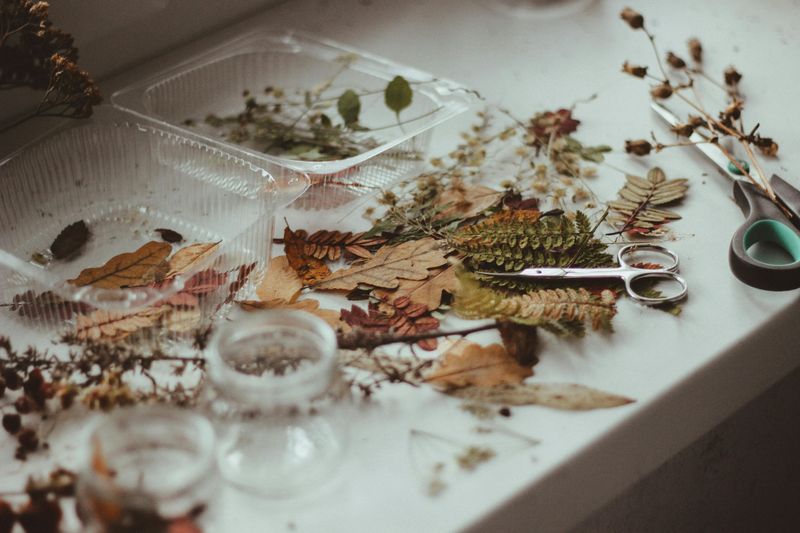 Bring Nature Indoors