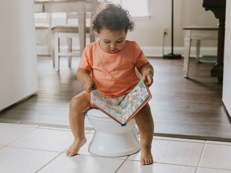 Master the Art of Regular Potty Breaks