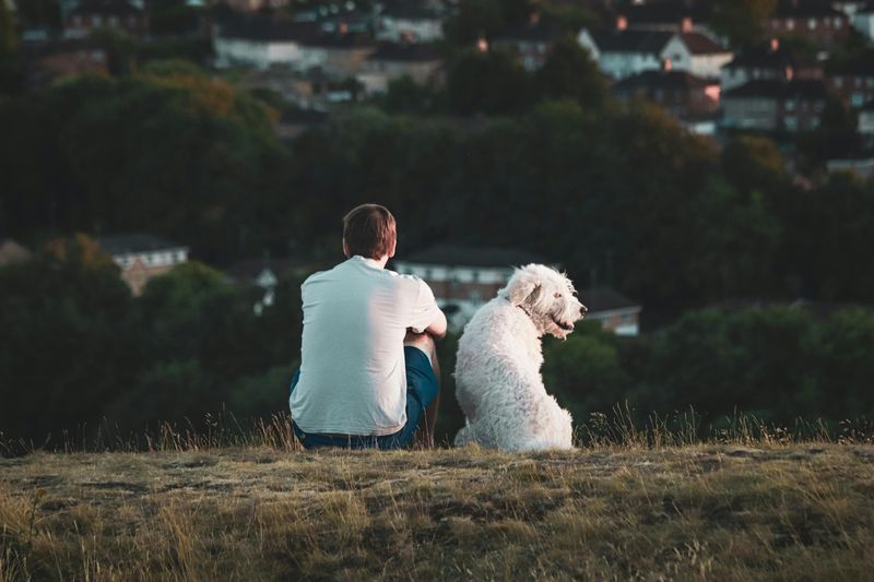 You Feel Genuinely Calm Around Animals