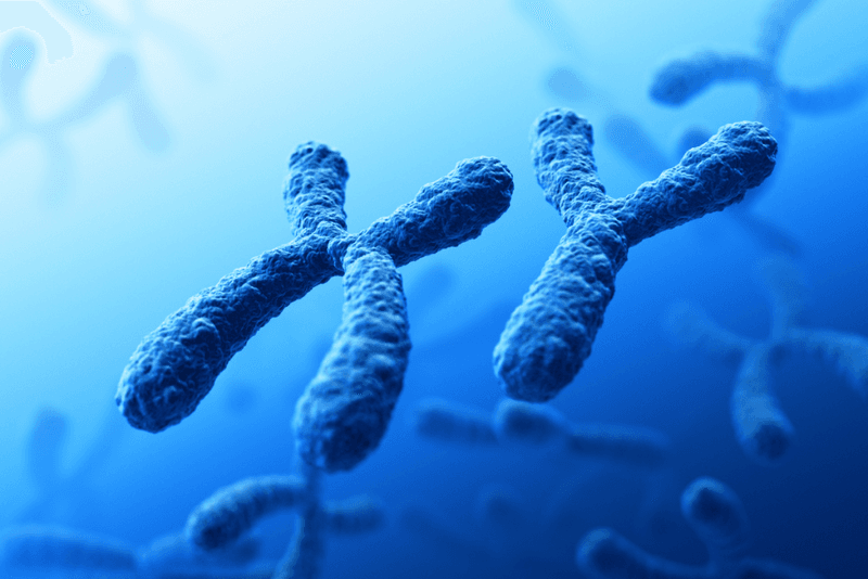 Humans always have 46 chromosomes.