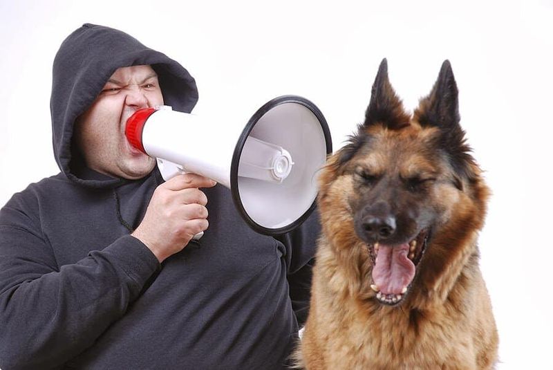 Yelling or Loud Voices