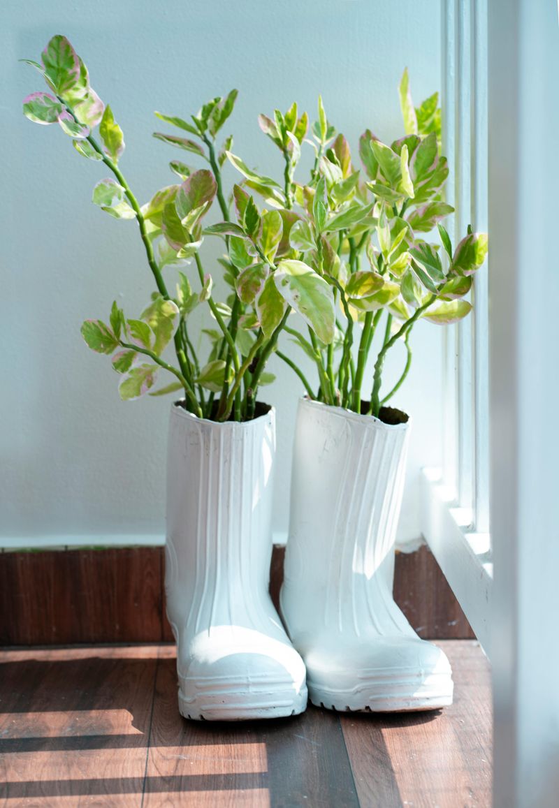 Reusing and Repurposing Items
