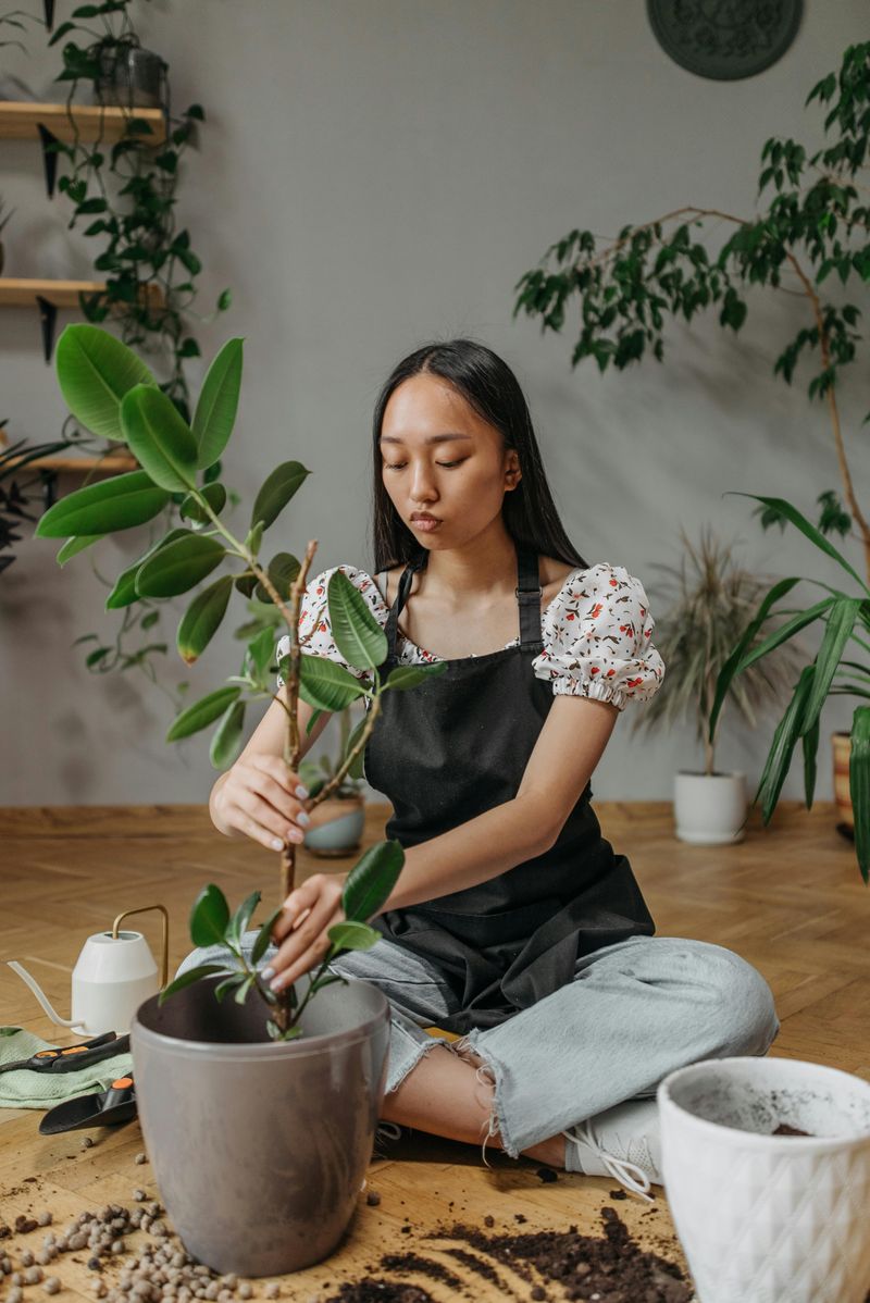 Gardening and Plant Care