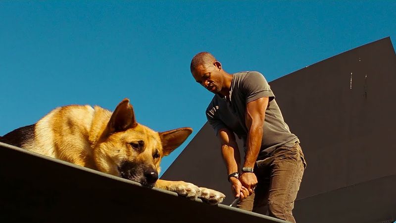 Neville – I Am Legend