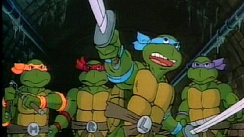 The Teenage Mutant Ninja Turtles – TMNT