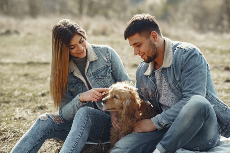 Visit a Local Animal Shelter or Petting Zoo