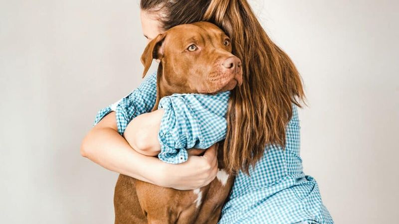 Hugging Too Tightly