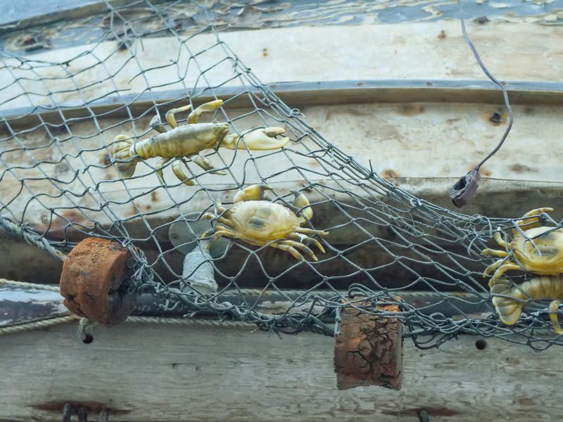 Crab Fisherman (or Commercial Fisherman)
