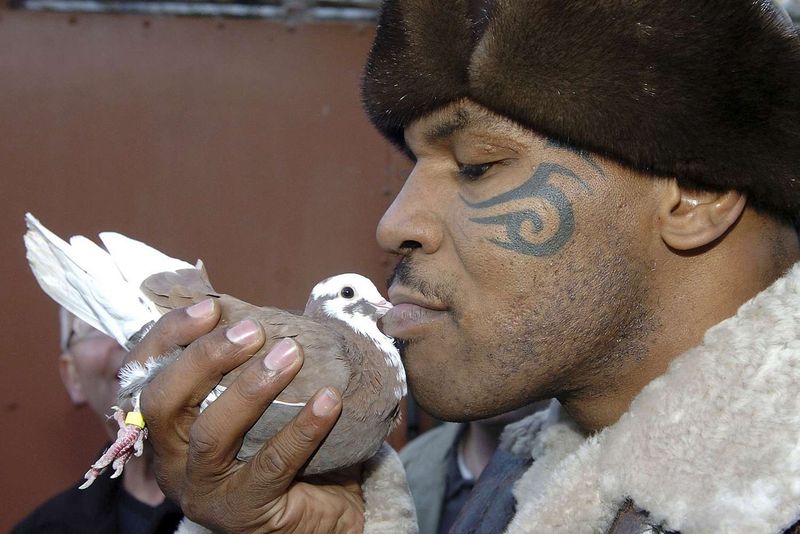 10 Stars Who Openly Share Their Unusual Hobbies