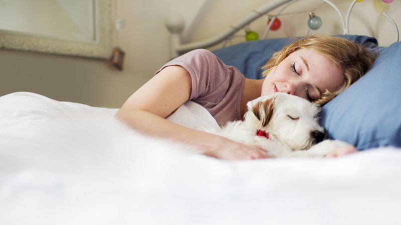 Ban Pets From the Bed