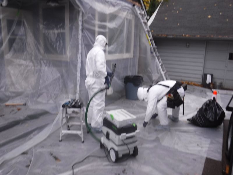 Asbestos and Lead Paint Are Fine for Homes