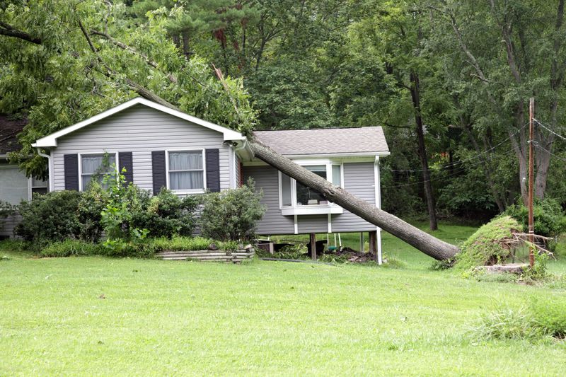 Damage from Falling Objects (Like Trees or Satellites)