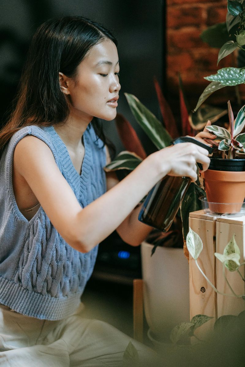Three-Minute Nature Connection