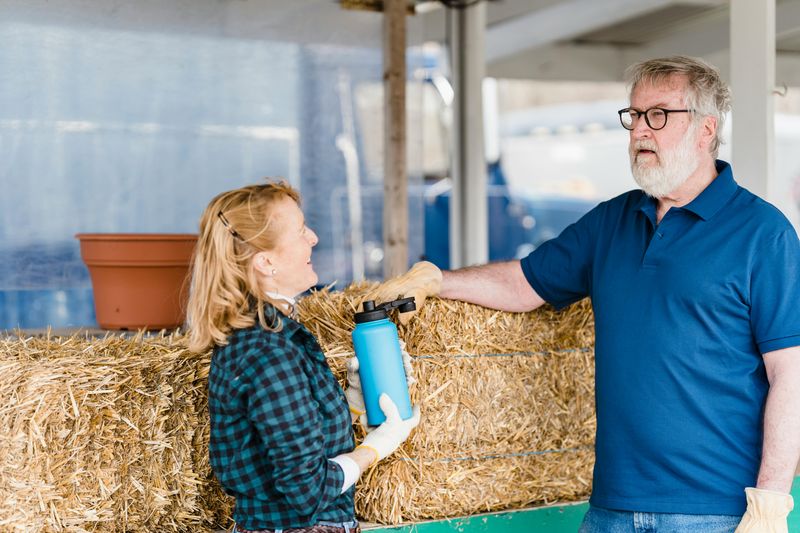The Empty Nest Stage