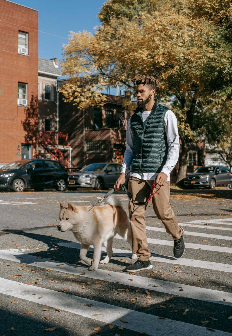 He Values Loyal Companionship
