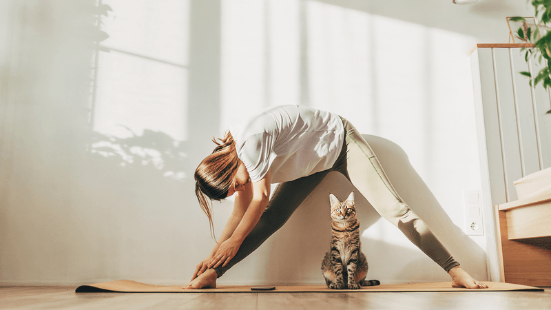 Gentle Movement or Stretching