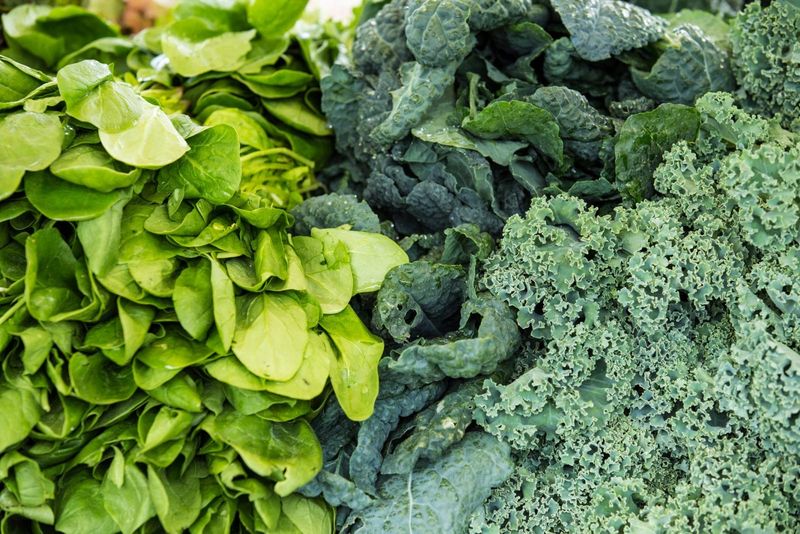 Leafy Greens: Folate-Rich Mood Supporters