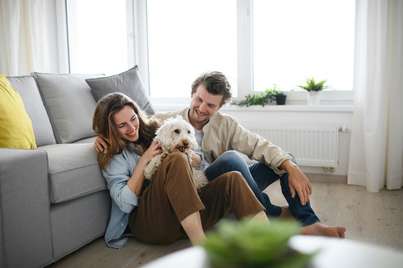They Contribute Strategically, Not Just Equally https://unsplash.com/photos/a-happy-young-couple-in-love-with-dog-indoors-at-home-resting-FDaRc9jIshc
