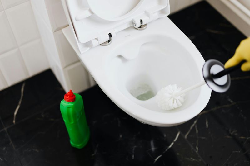 Toilet Cleanliness