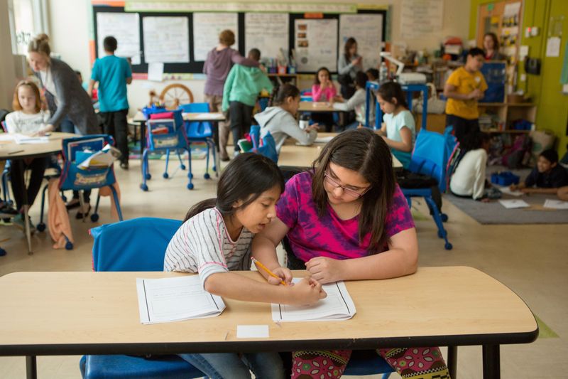 Gaps in Foundational Understanding