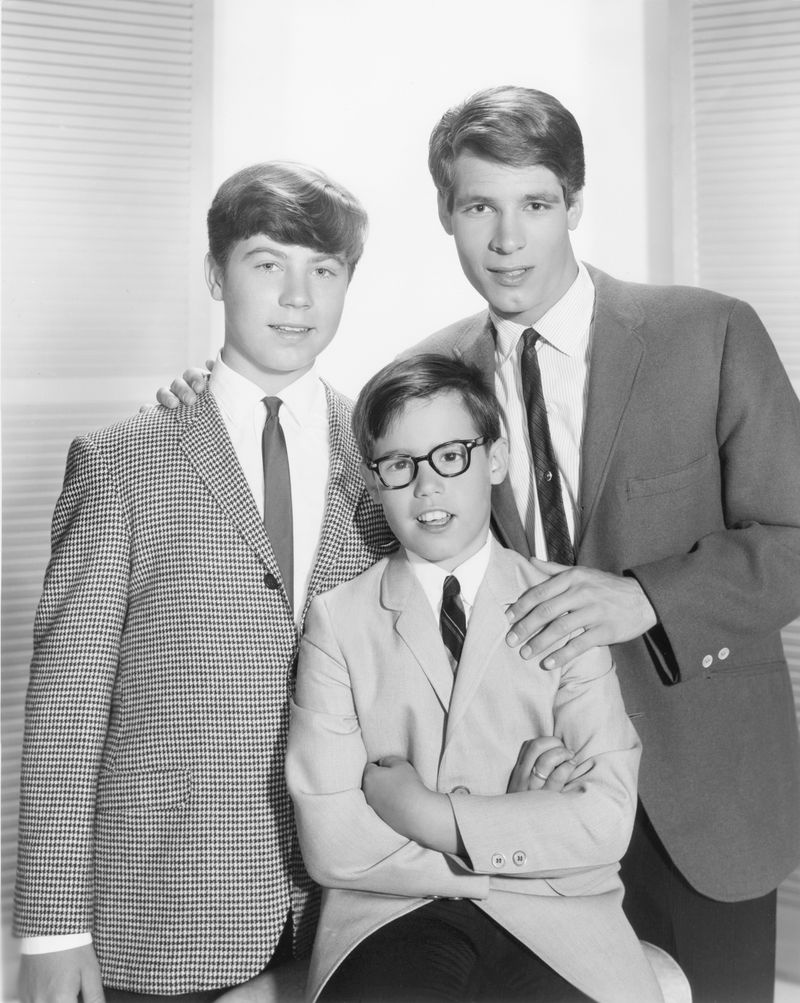 My Three Sons (1960-72)