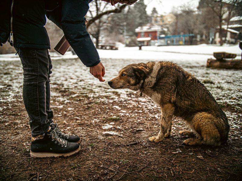 Kindness Without Agenda