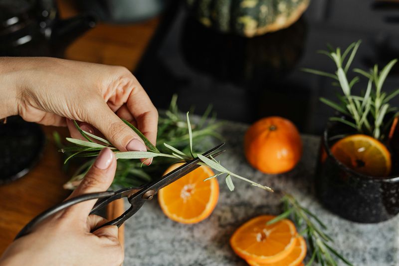 Create a Seasonal Scent Story
