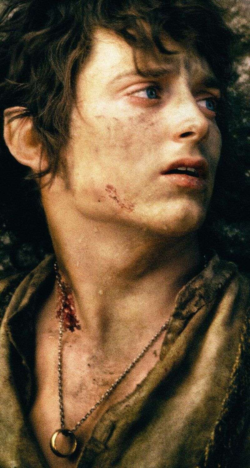 Frodo Baggins