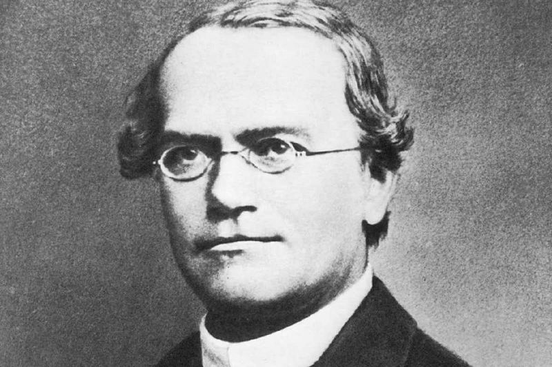 Gregor Mendel: Father of Genetics, Not Children