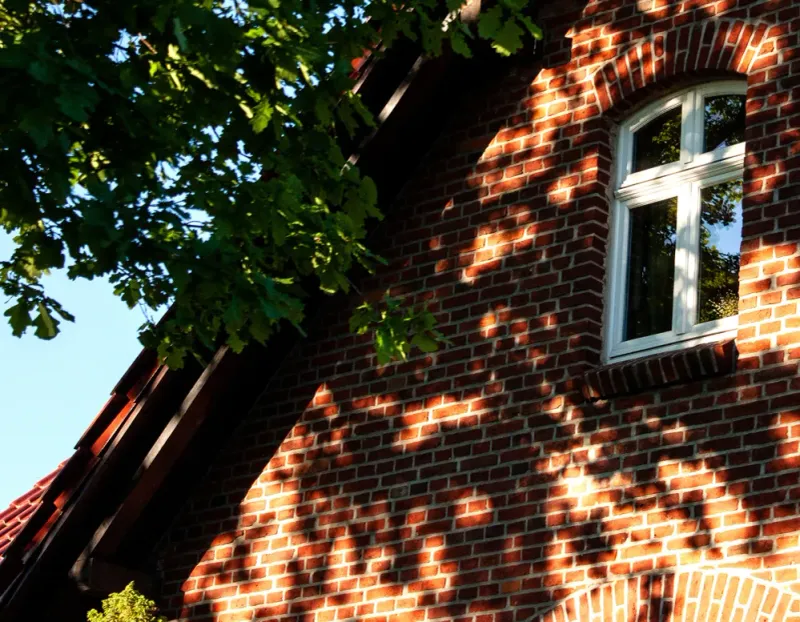 Nature's Shade: Strategic Landscaping for Cooling