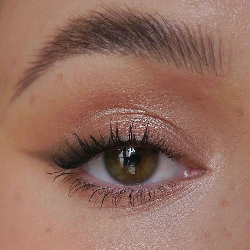 Soft Winged Flick