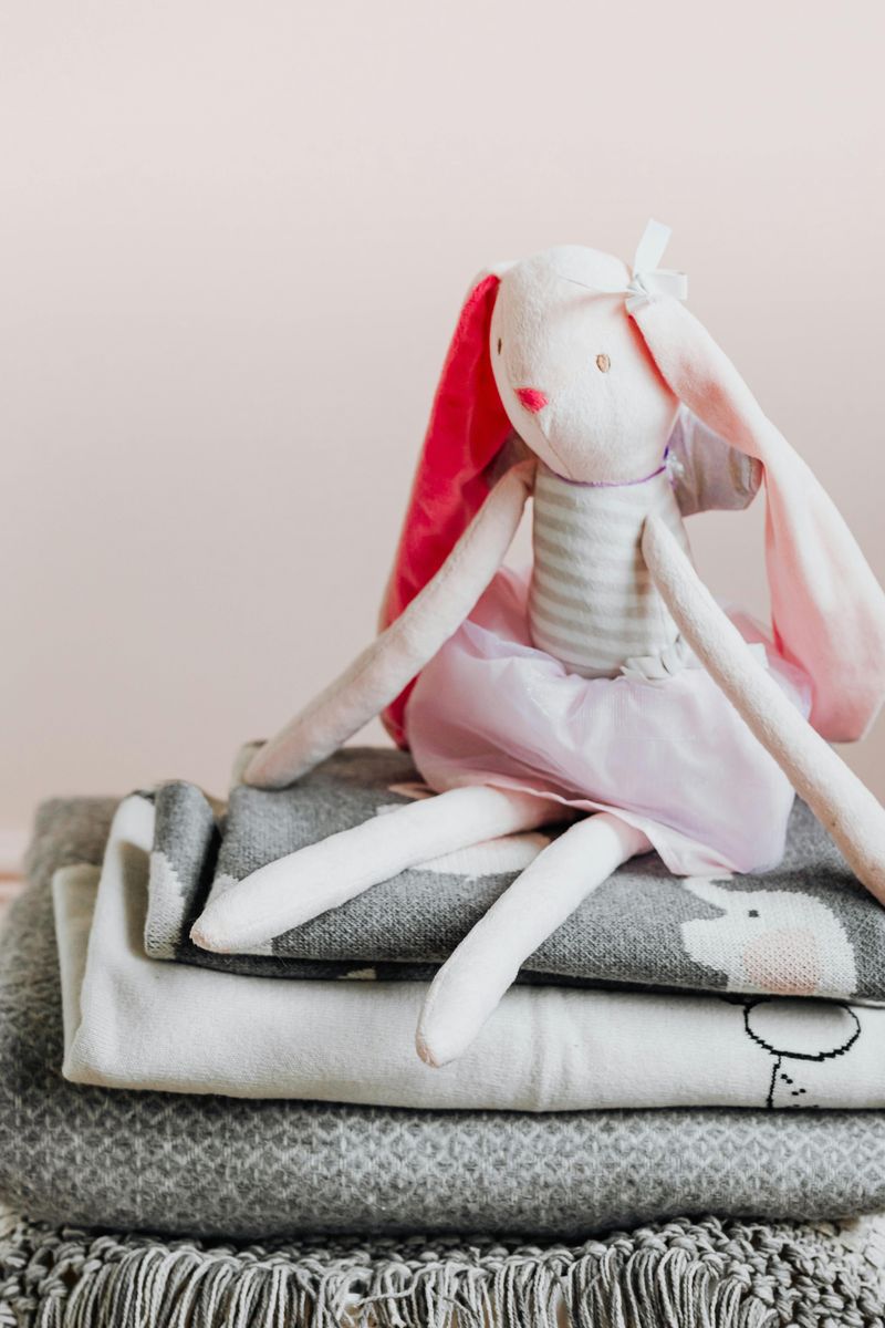 Childhood Blankets or Stuffed Animals