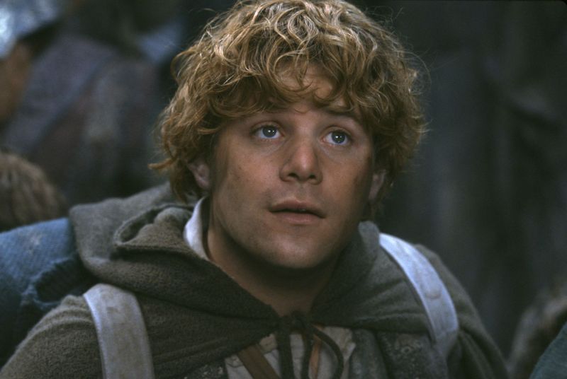 Samwise Gamgee (Lord of the Rings)
