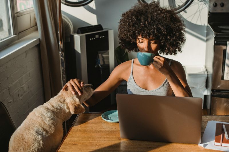 Strict 9-to-5 Office Culture